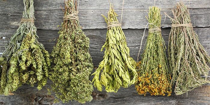 herbs for the treatment of shoulder arthrosis